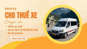 Thuê xe cưới cho gia đình và khách mời TPHCM - Công ty Du lịch Phong Cảnh