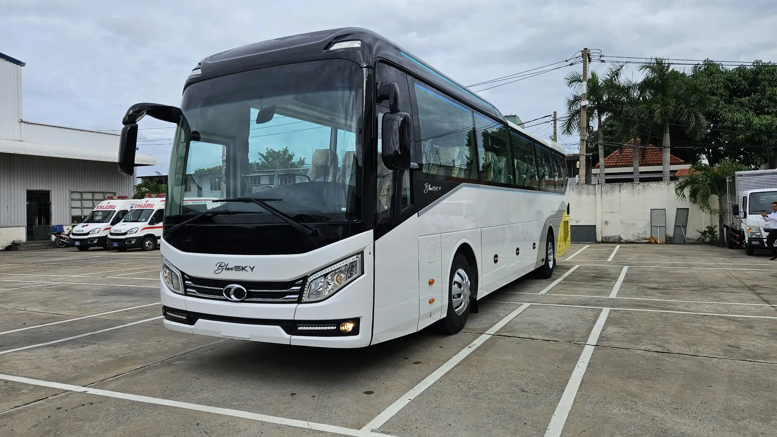 Thuê xe du lịch 29 chỗ và 45 chỗ tại TP.HCM